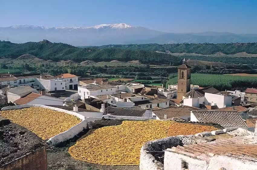 Tecnocasa agencia inmobiliaria