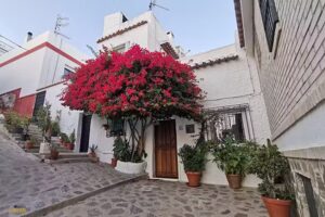 Tecnocasa inmobiliaria Salobreña