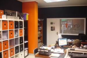 Telenti Inmobiliaria S.l.