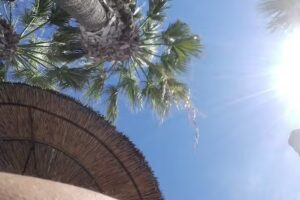 tenerifeselectproperty