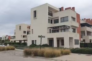 Tierra y Gestión Inmobiliaria