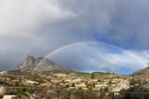 Torres Inmobiliaria-Real Estate