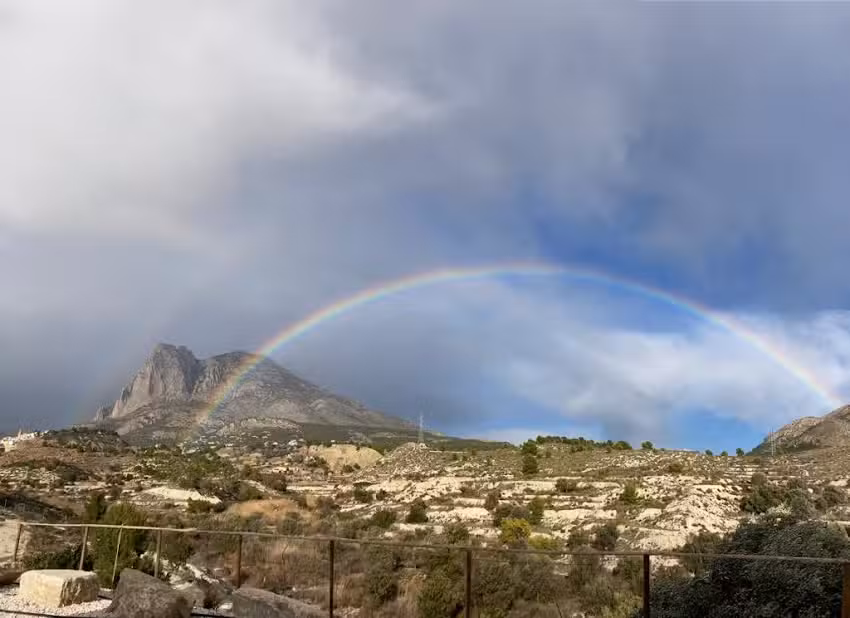 Torres Inmobiliaria-Real Estate