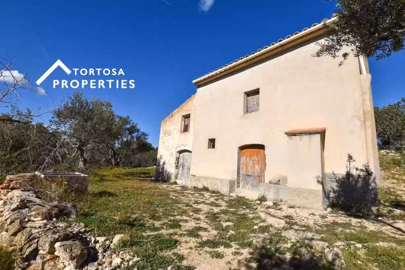 Tortosa Properties