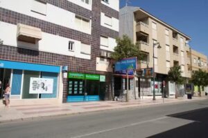 Van Dam Estates (Nederlandse makelaar)