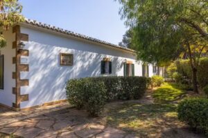 Vicens Ash Properties